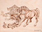 cowboys-10